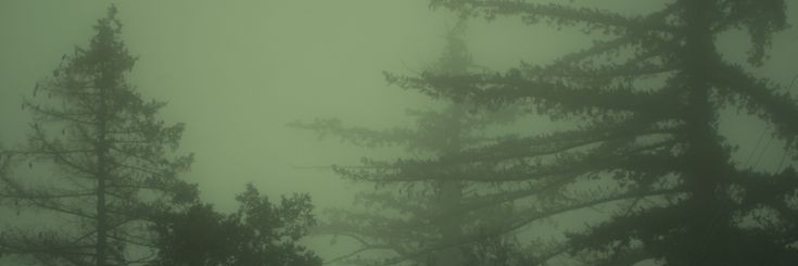Amsterselmo's profile banner image