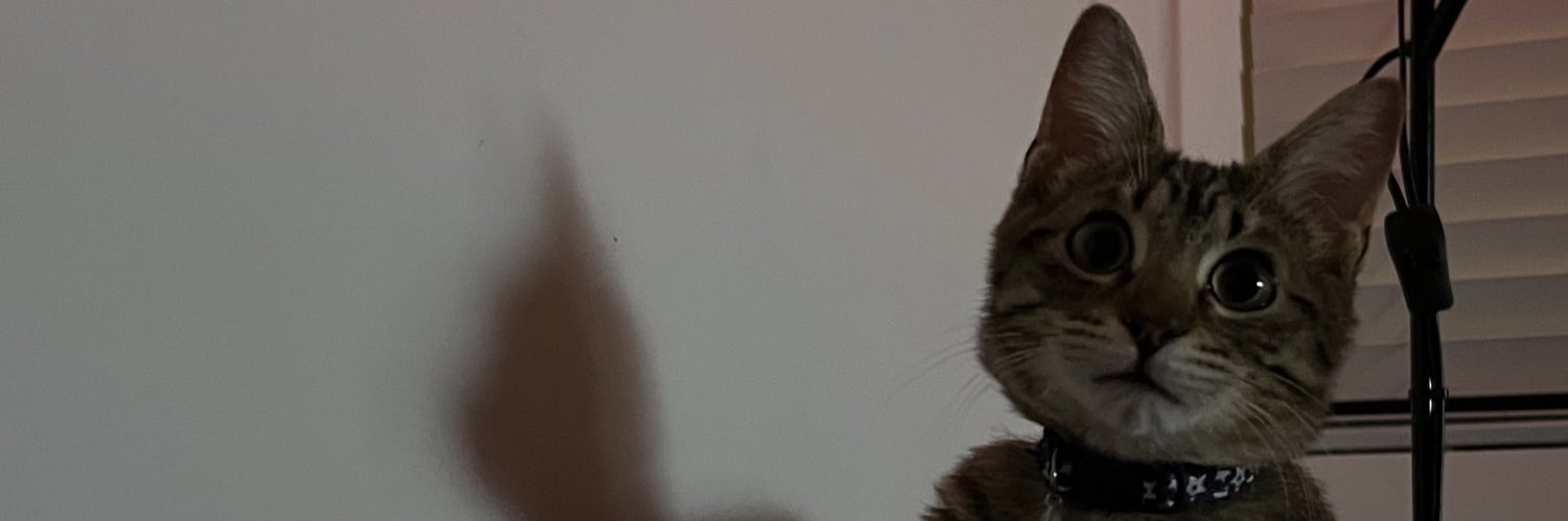 N1LC3YLAN's profile banner image