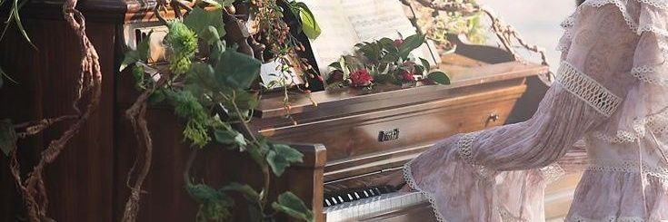 noazesu's profile banner image