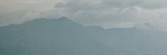 Romar banner