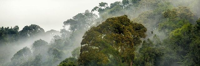 Vincent Biruta banner