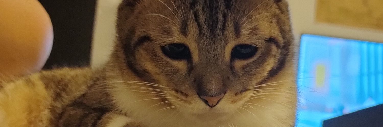 _zelhanapi's profile banner image