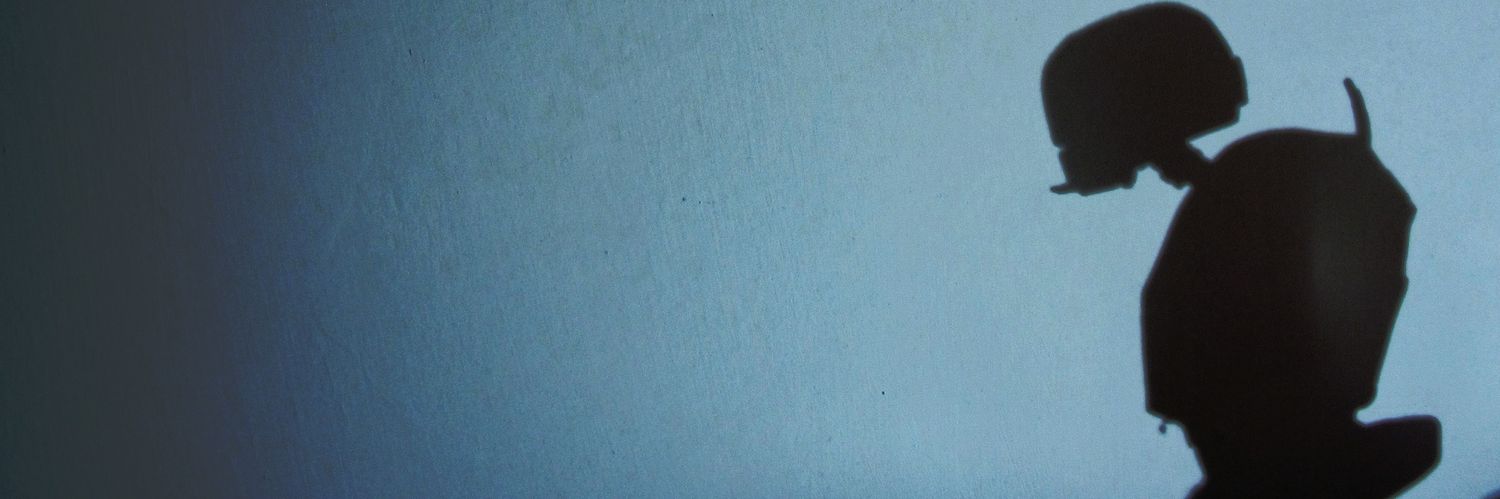 SerraFien's profile banner image