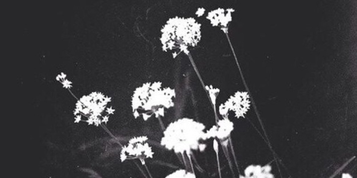 LouwEmma's profile banner image