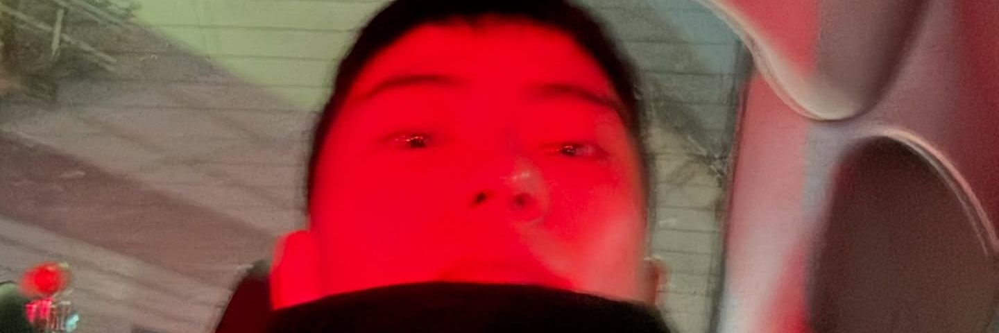 AngelisQuail's profile banner image