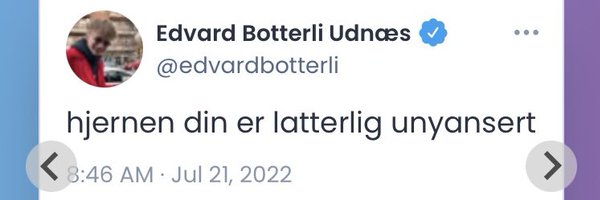 edvardbotterli Profile Banner