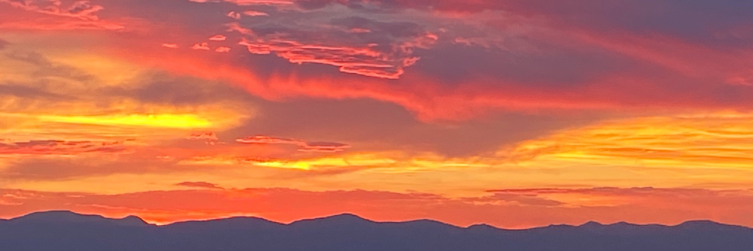 Elizabeth Houck banner