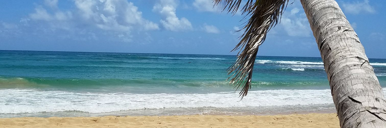 DocSeeksHoliday's profile banner image