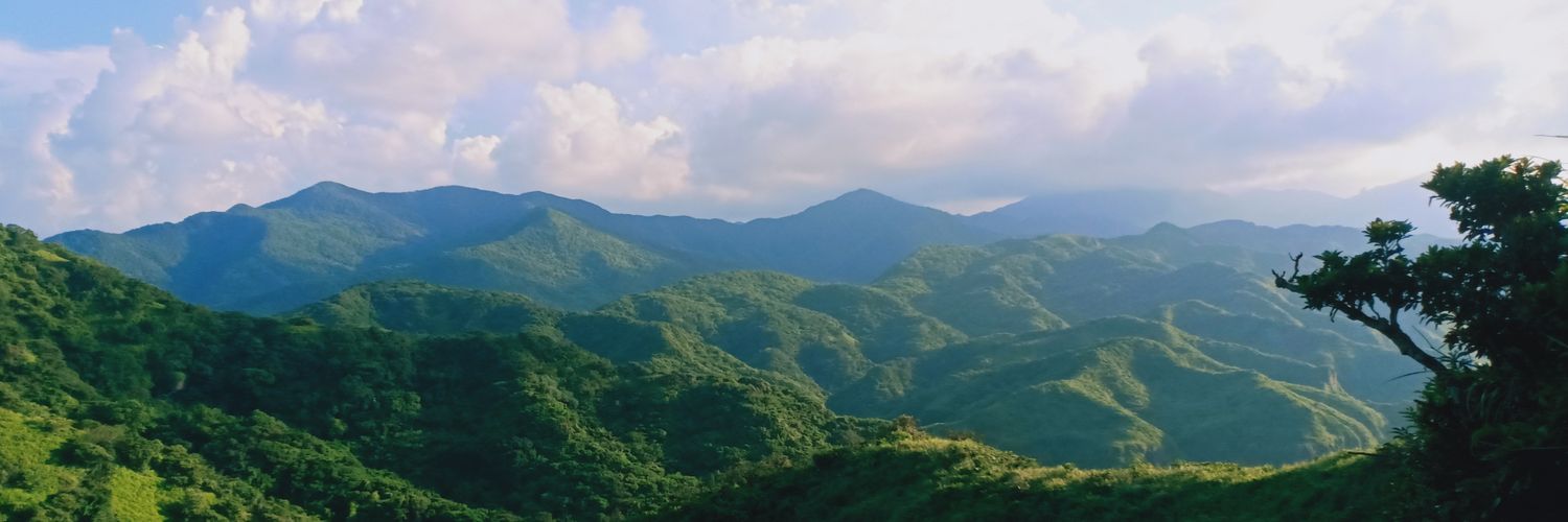 mmsirinun's profile banner image