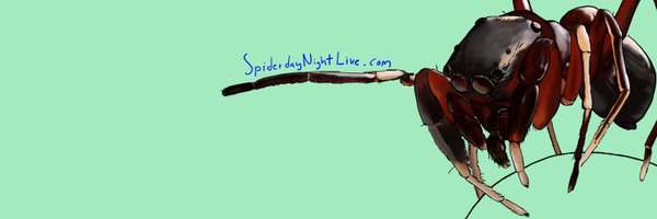 spiderdayNight Profile Banner