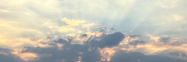 cryangel666's profile banner image