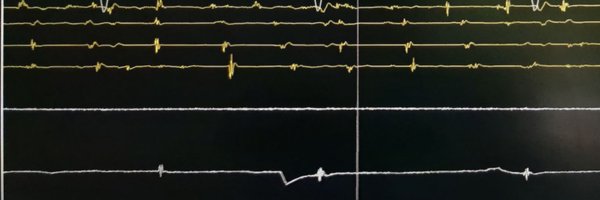 DeLucia_R Profile Banner