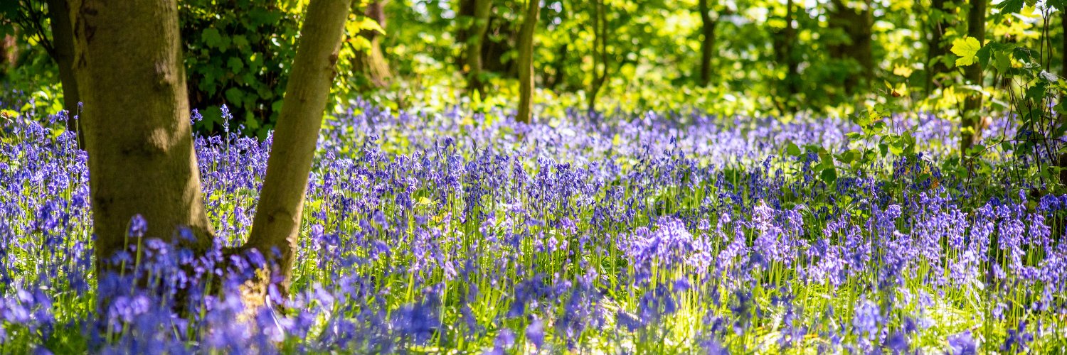 Birmingham & Black Country Wildlife Trust banner