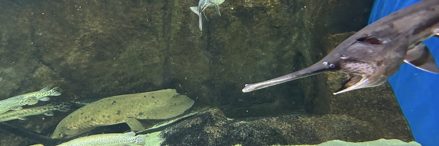 足立 浩志 （Fireloop） banner