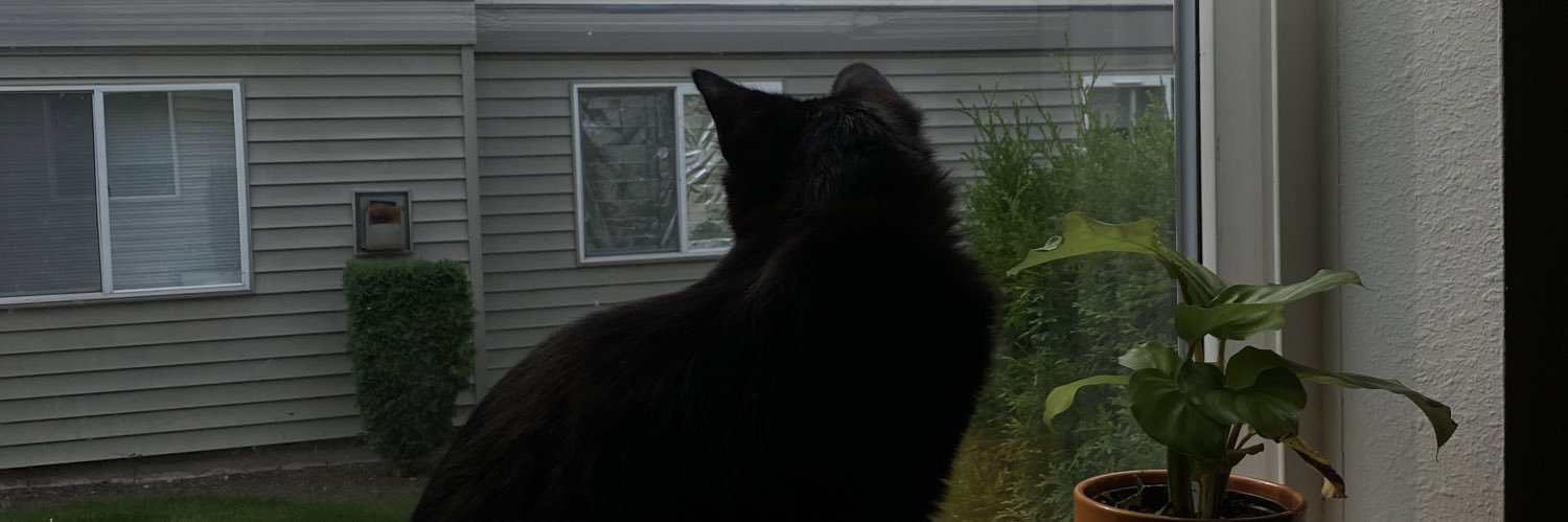 itsleelyaa's profile banner image