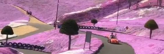 Semra Sevimli banner