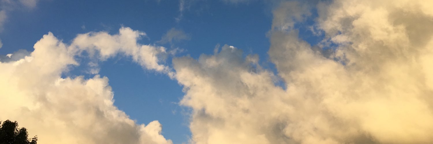 PeterLaPage's profile banner image