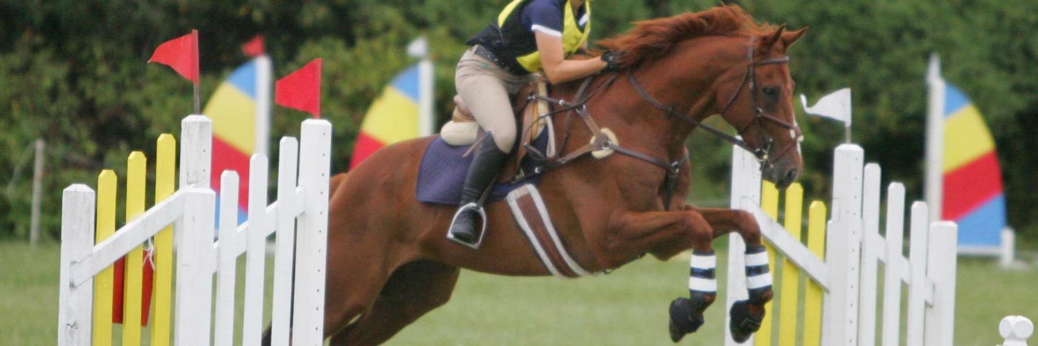VMagliaro's profile banner image