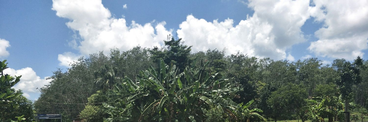 aammy47's profile banner image