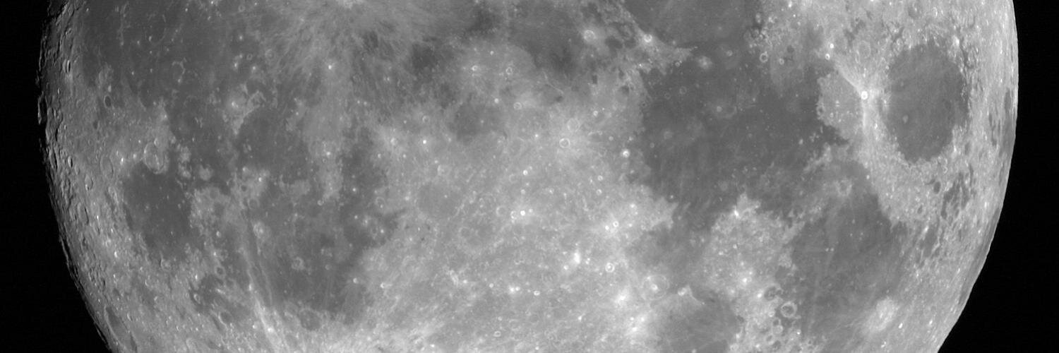 David Salces banner