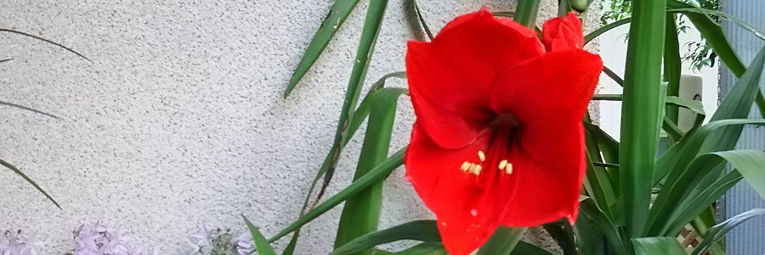 A0934117's profile banner image