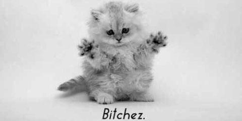 Richatze's profile banner image