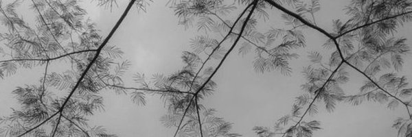 neverscaredx Profile Banner