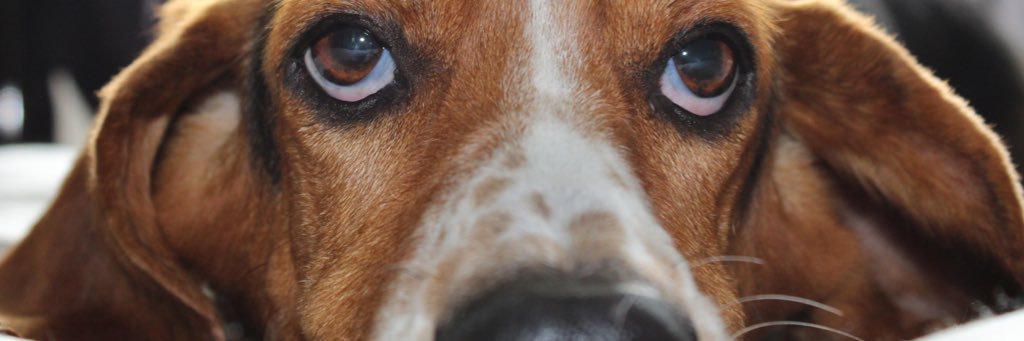 sellars2's profile banner image