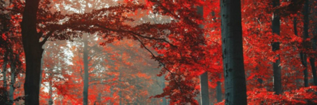 _LonelyEd's profile banner image