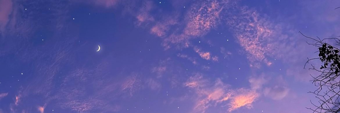 alwaysunnny's profile banner image