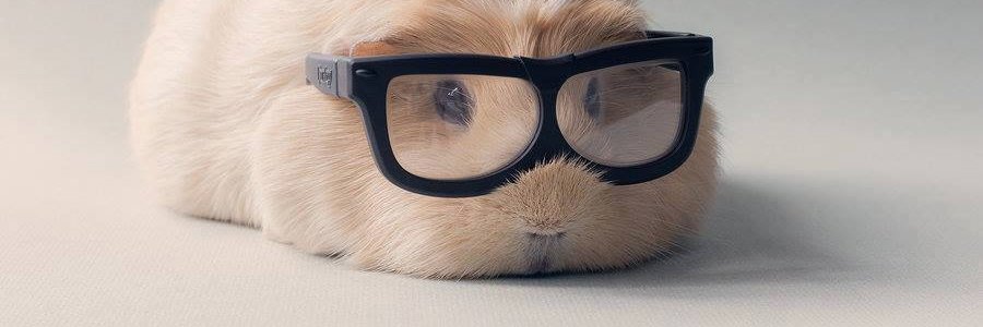 zeliapastore's profile banner image