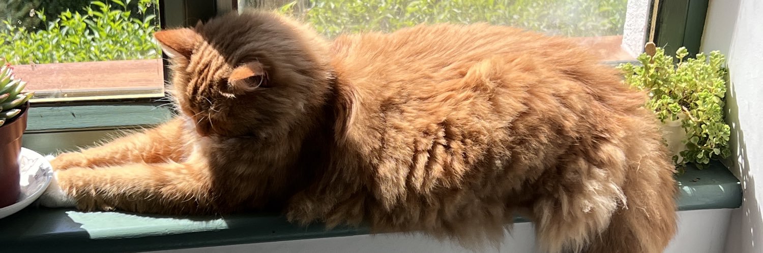 Menna van Praag banner