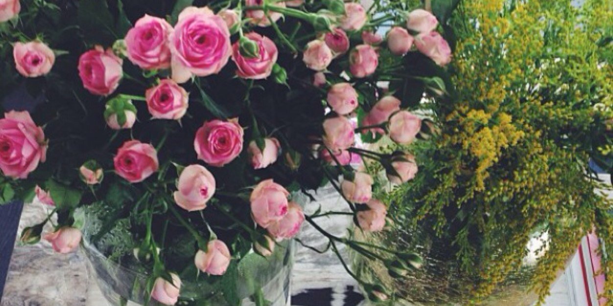 MonAlsaif's profile banner image