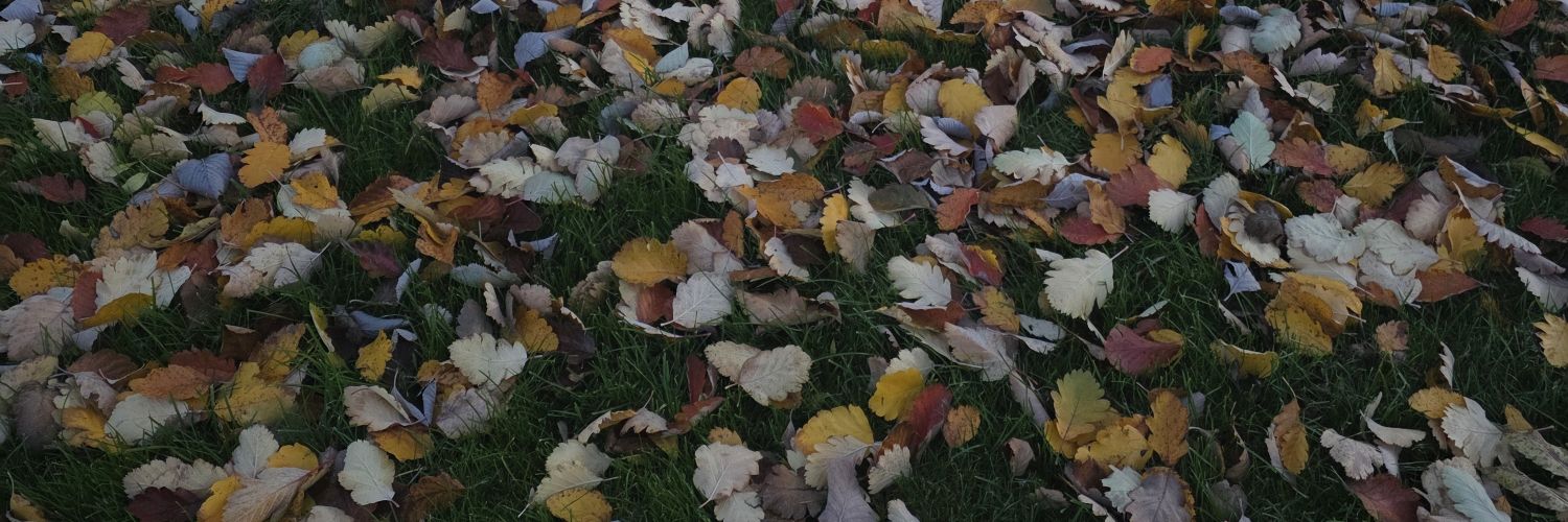 _charsbe_'s profile banner image
