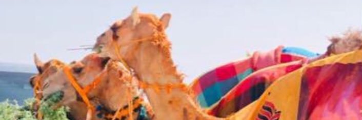 ابو مشاري banner