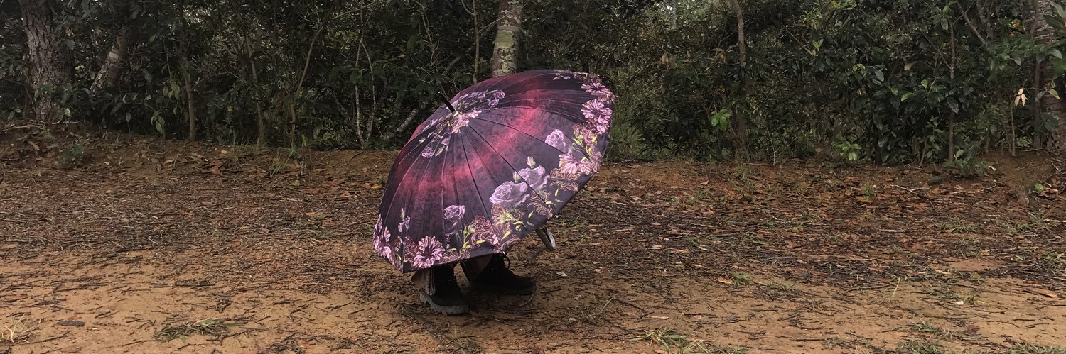 luonny_'s profile banner image