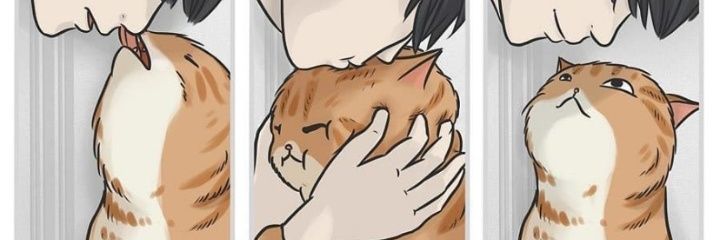 __yllwva's profile banner image