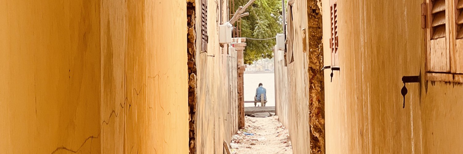 Nelson CAMARA 🌍 banner