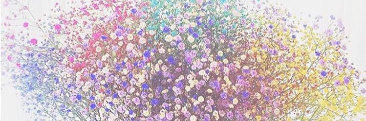citron_231's profile banner image