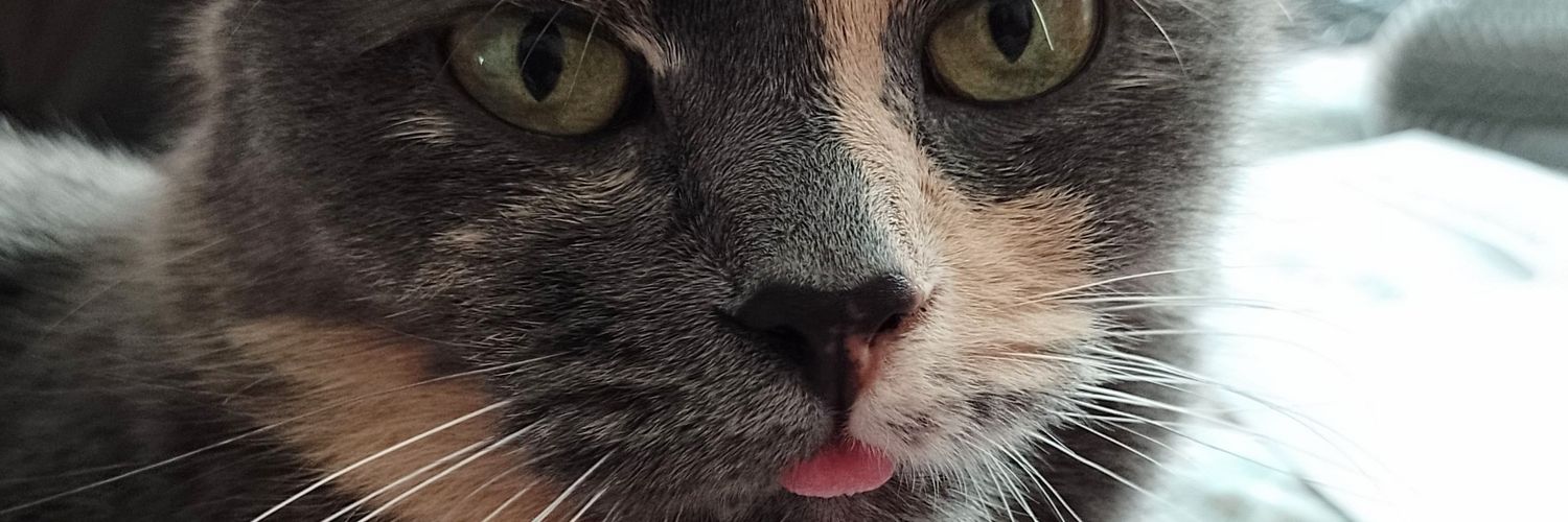MichellerilesMr's profile banner image