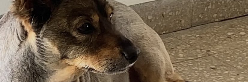 DonMendo96's profile banner image