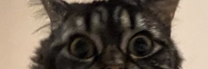 connorcapo5's profile banner image