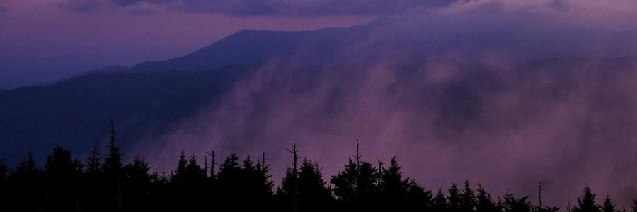 JesselynJSS's profile banner image