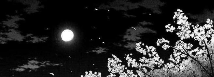 mossylunaaa92's profile banner image