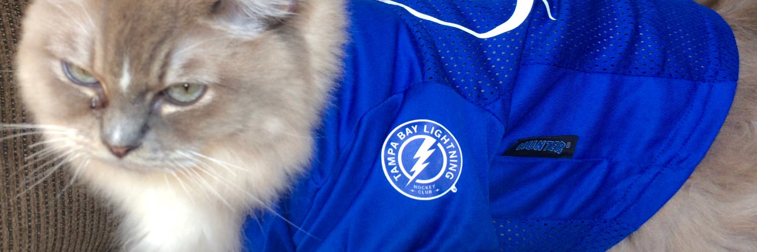 zakkp's #GoBolts banner