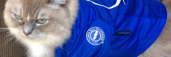 zakkpatrick1 Profile Banner