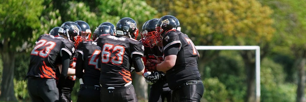 H_Wildcats's profile banner image