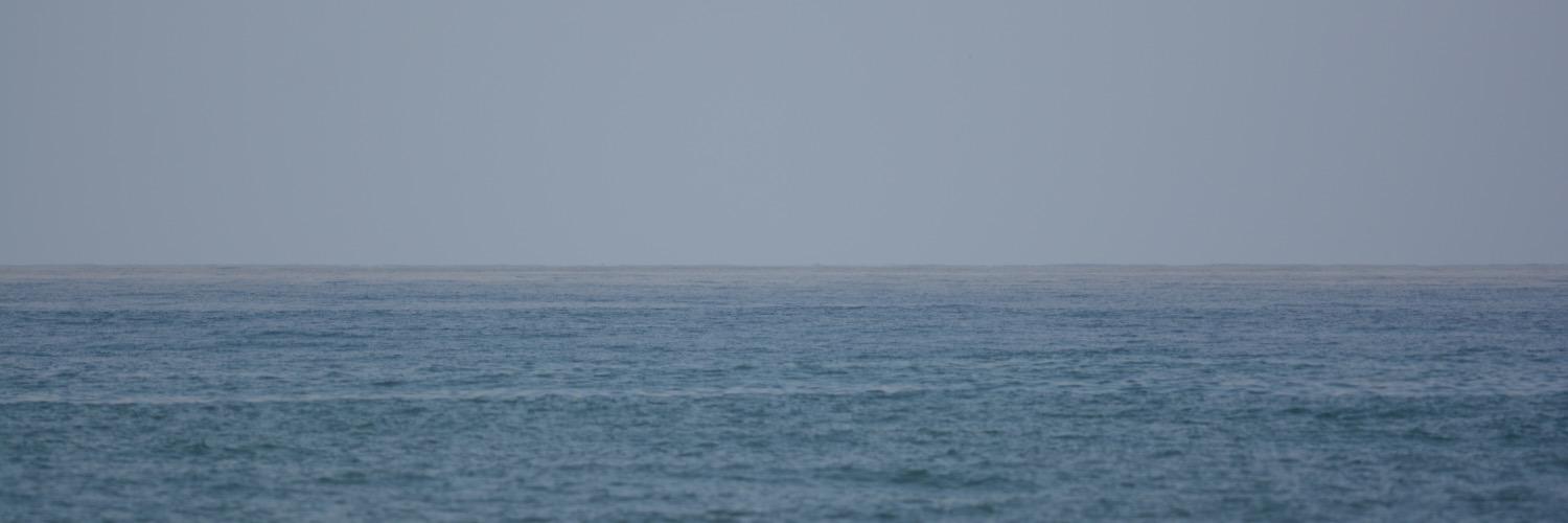 leonfct's profile banner image