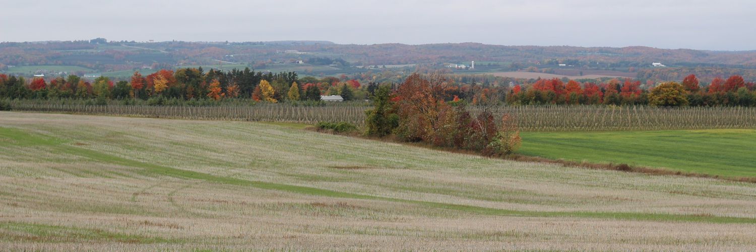 Grant (snow relocation preparation tech.)McMurchy banner