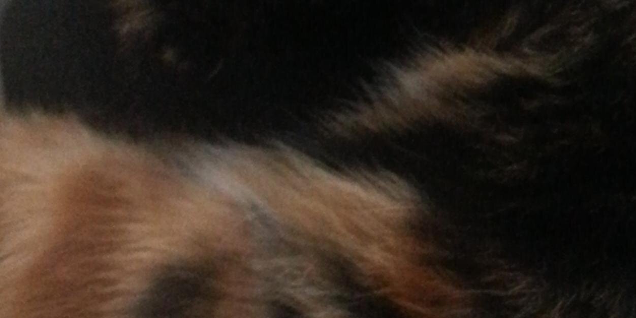 TheSpanna's profile banner image